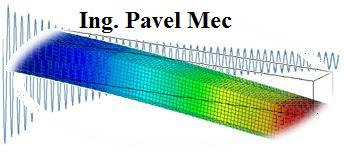 Ing. Pavel Mec